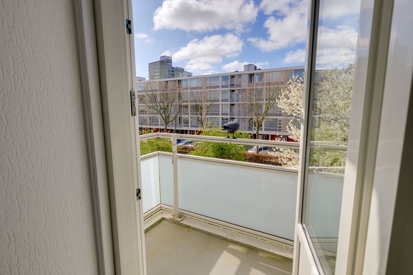 Foto 20 van Schout Van Eijklaan 141