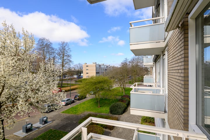 Foto 22 van Schout Van Eijklaan 141