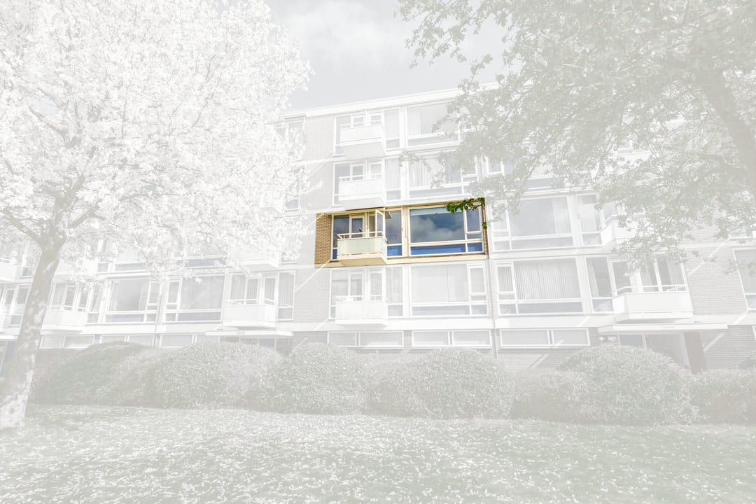 Foto 37 van Schout Van Eijklaan 141