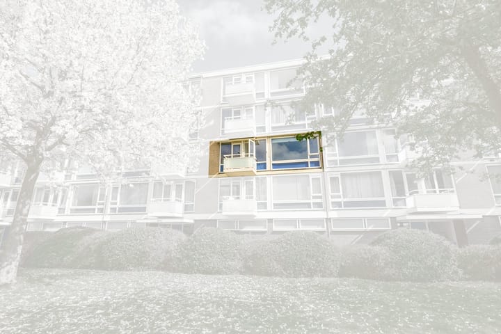 Foto 37 van Schout Van Eijklaan 141