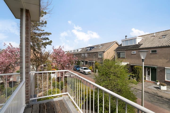 Foto 26 van Hugo de Vriesstraat 10