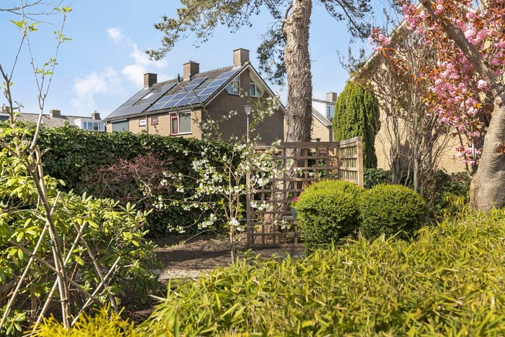 Foto 35 van Hugo de Vriesstraat 10