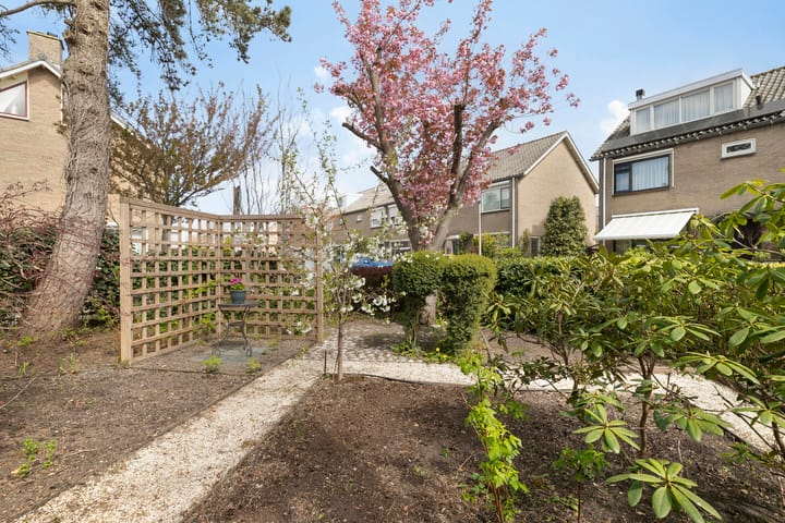 Foto 36 van Hugo de Vriesstraat 10