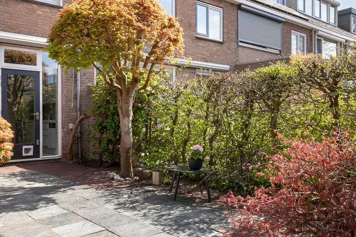 Foto 43 van Hugo de Vriesstraat 10