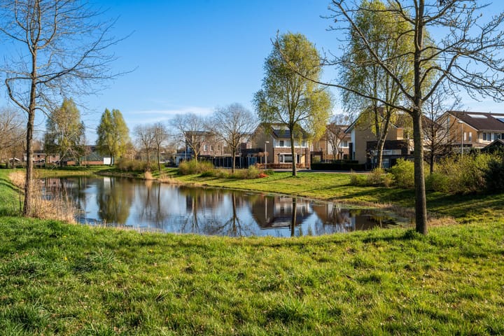 Foto 45 van Zuiddreef 64