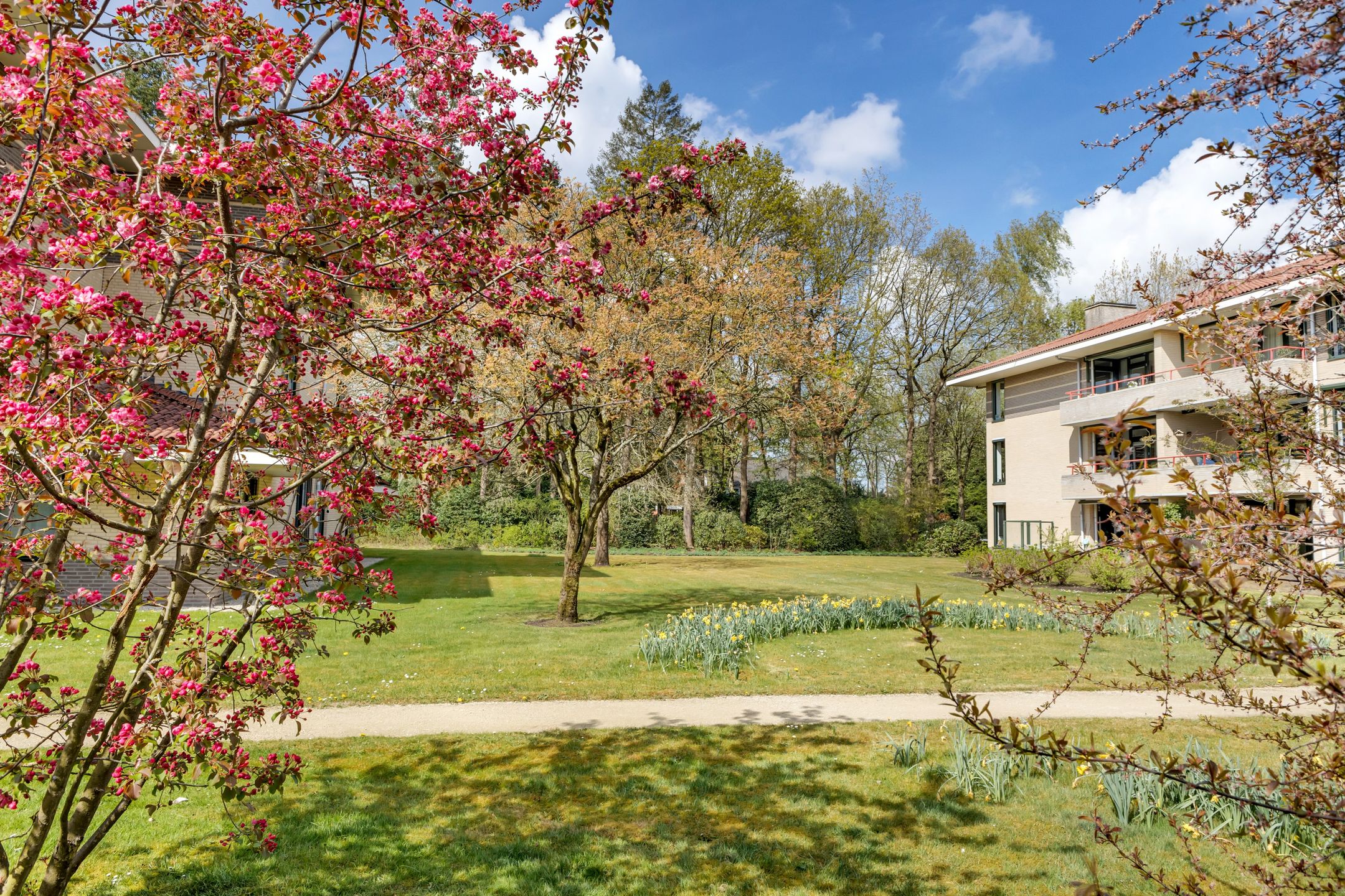 Foto 3 van Finsponglaan 48