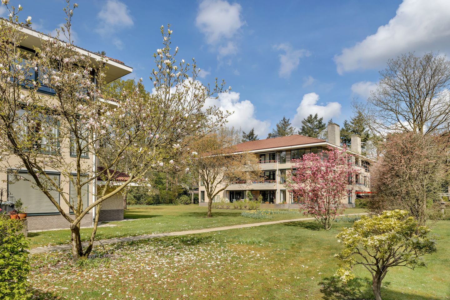 Foto 50 van Finsponglaan 48