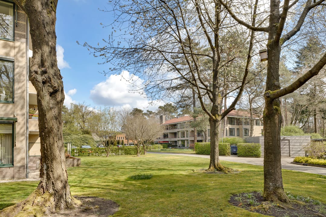 Foto 52 van Finsponglaan 48