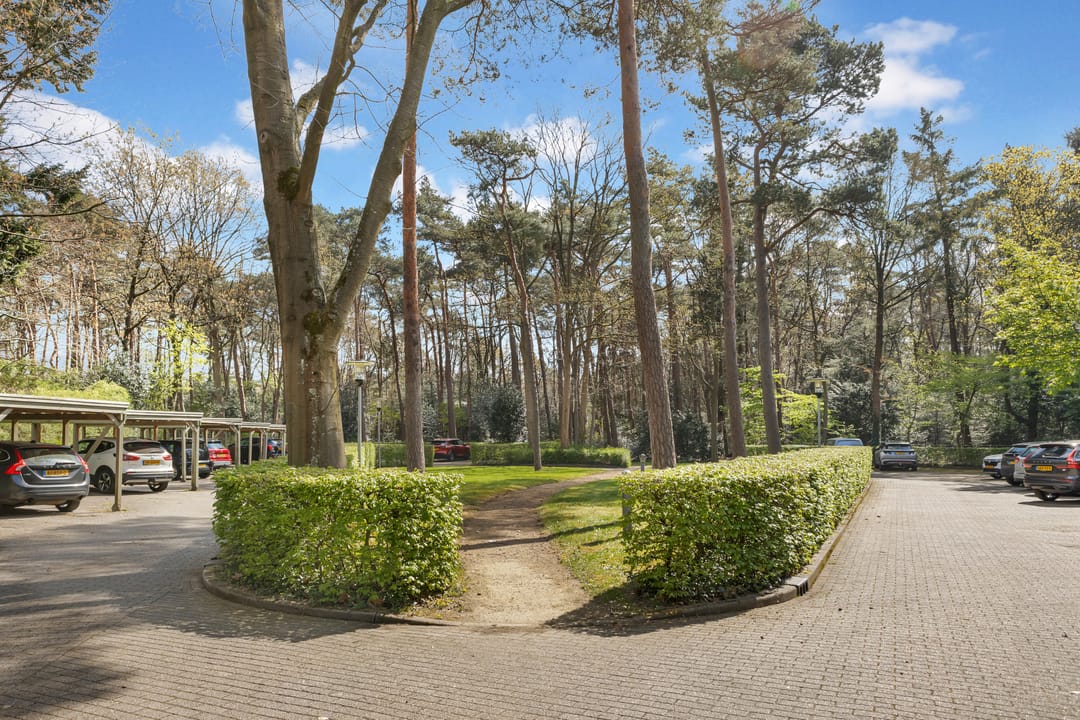 Foto 53 van Finsponglaan 48