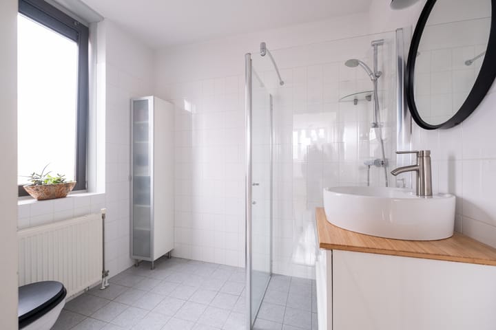 Foto 9 van Meertouw 11