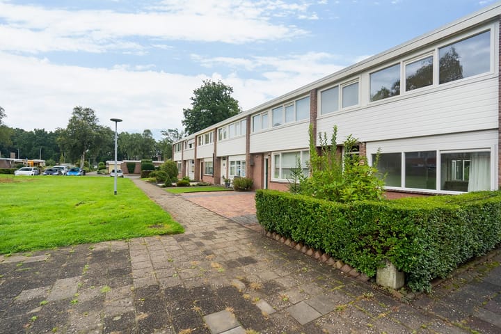 Foto 6 van Thedingecamp 59