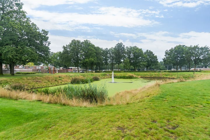 Foto 37 van Thedingecamp 59