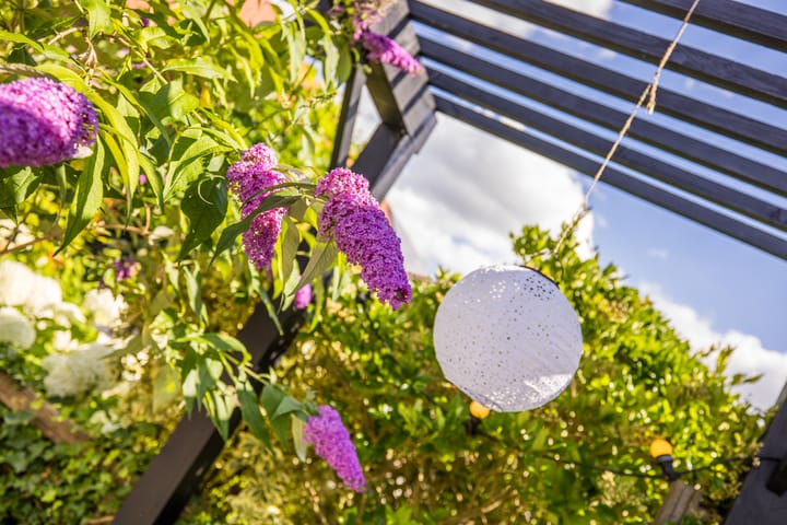 Foto 42 van Heidetuin 24