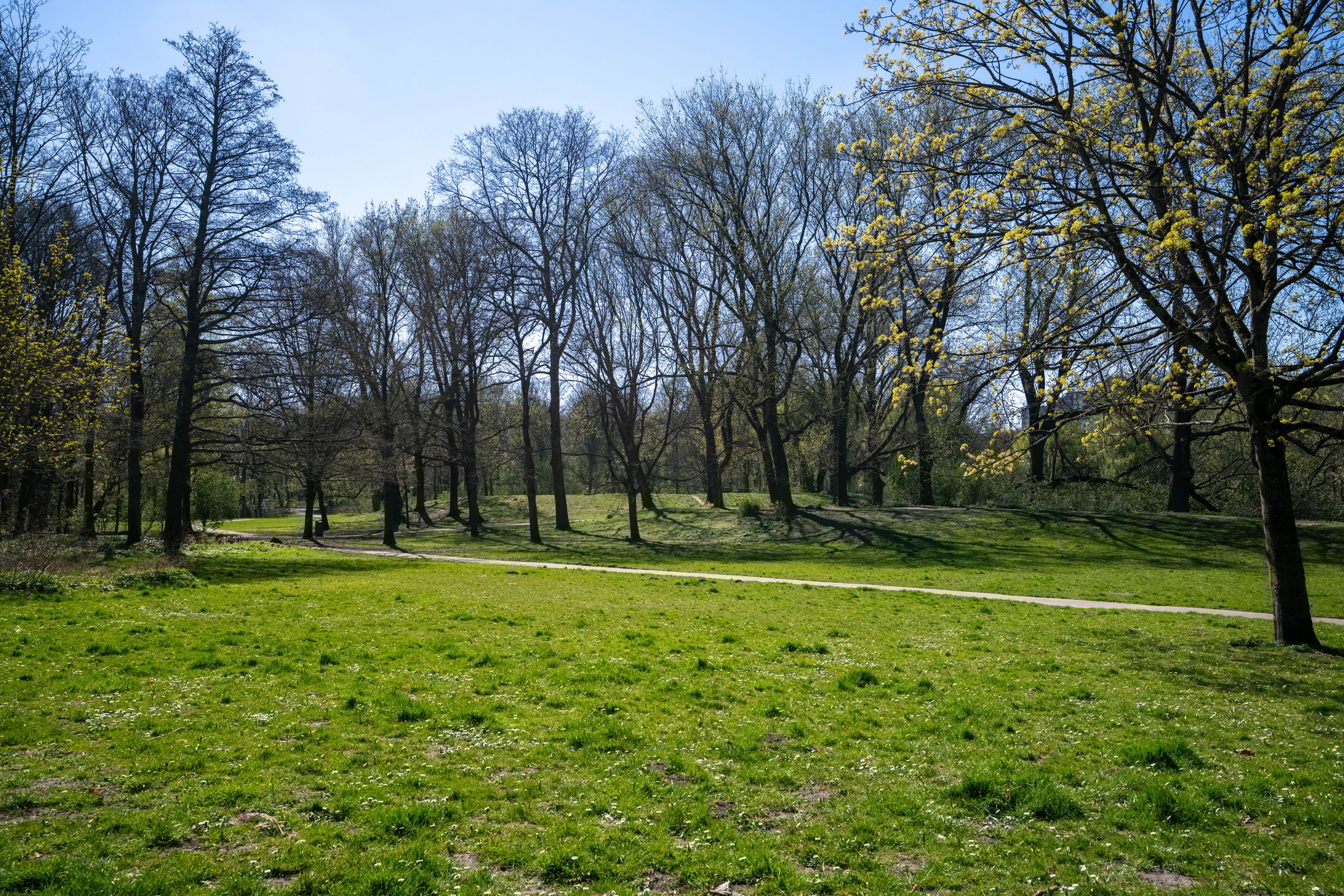 Foto 36 van Orteliuskade 32-3