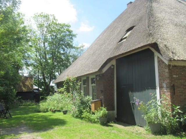 Foto 3 van Wiertdijkje 5