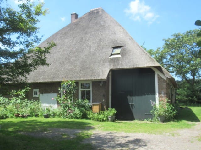 Foto 20 van Wiertdijkje 5