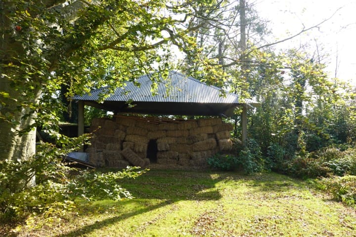 Foto 30 van Wiertdijkje 5