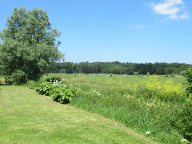 Foto 31 van Wiertdijkje 5