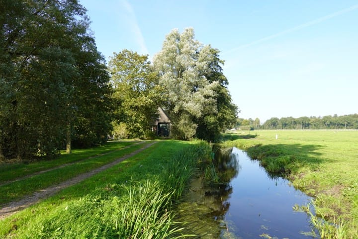 Foto 11 van Wiertdijkje 5