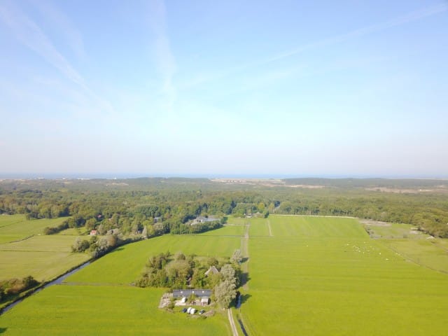 Foto 2 van Wiertdijkje 5