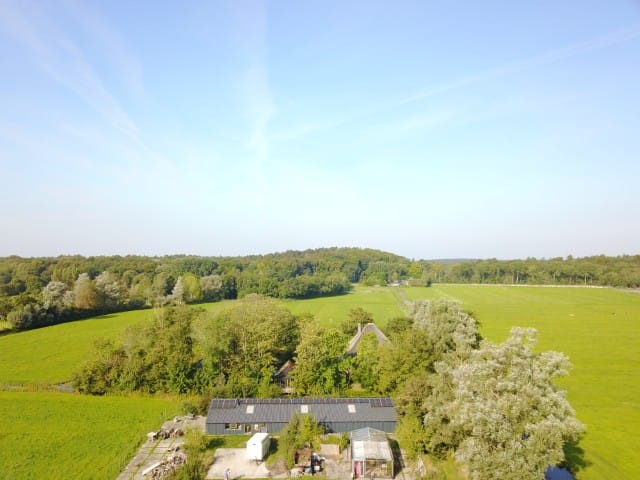 Foto 8 van Wiertdijkje 5