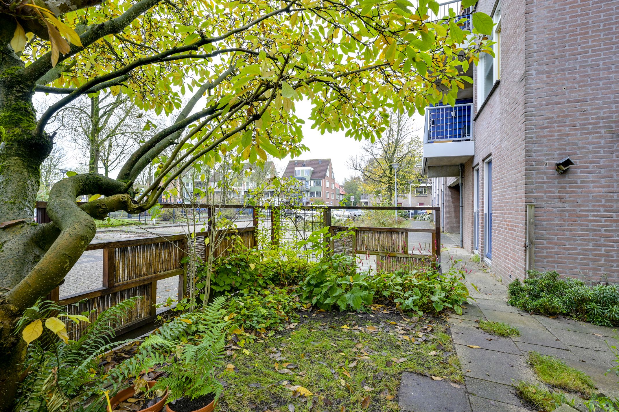 Photo 42 of Reiderland 12