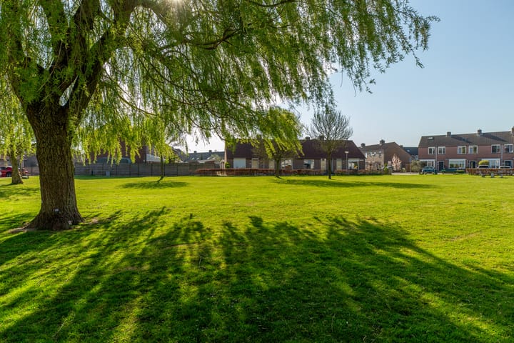 Foto 41 van De Lint 92