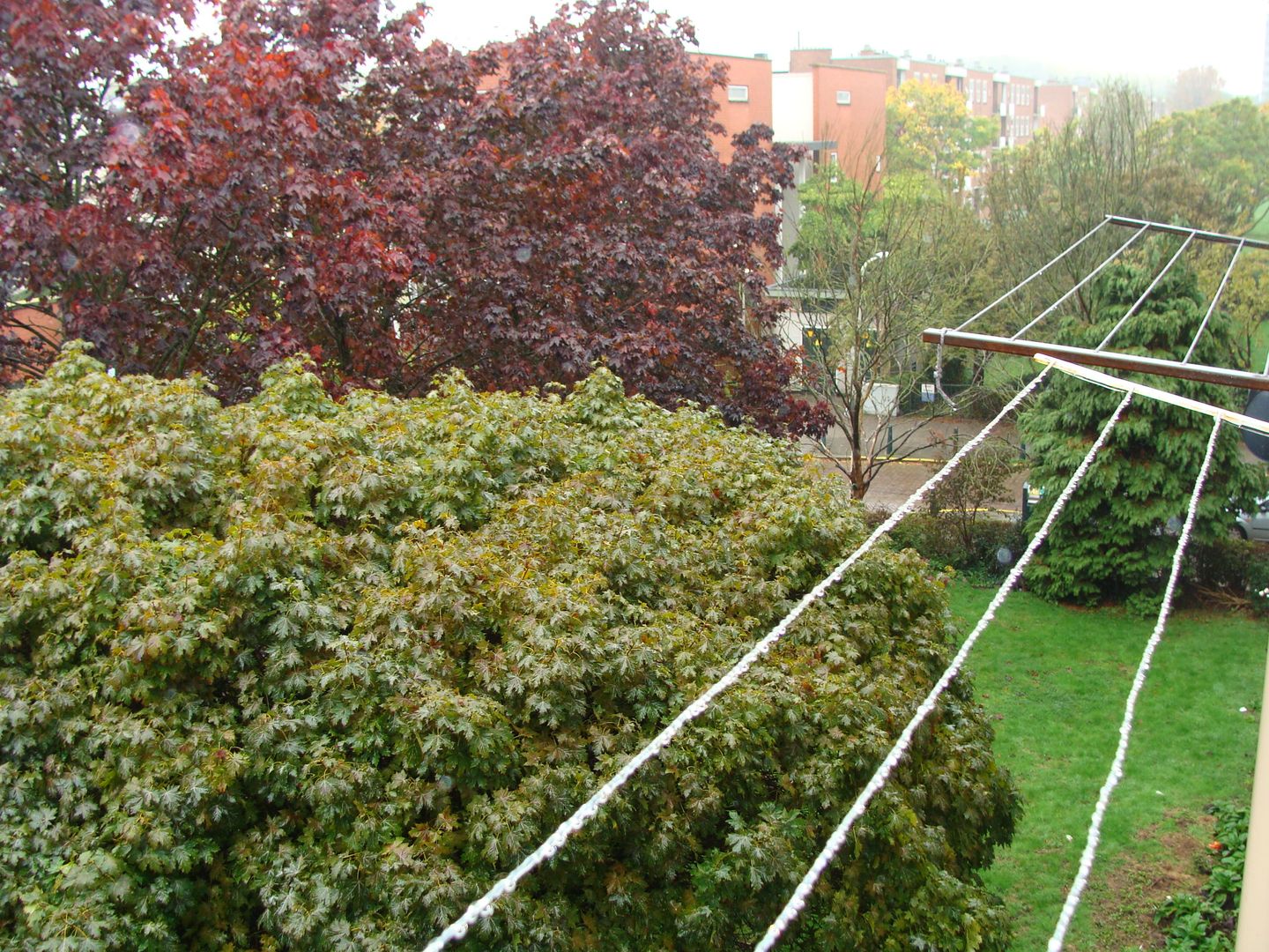 Foto 20 van Hengelolaan 1196