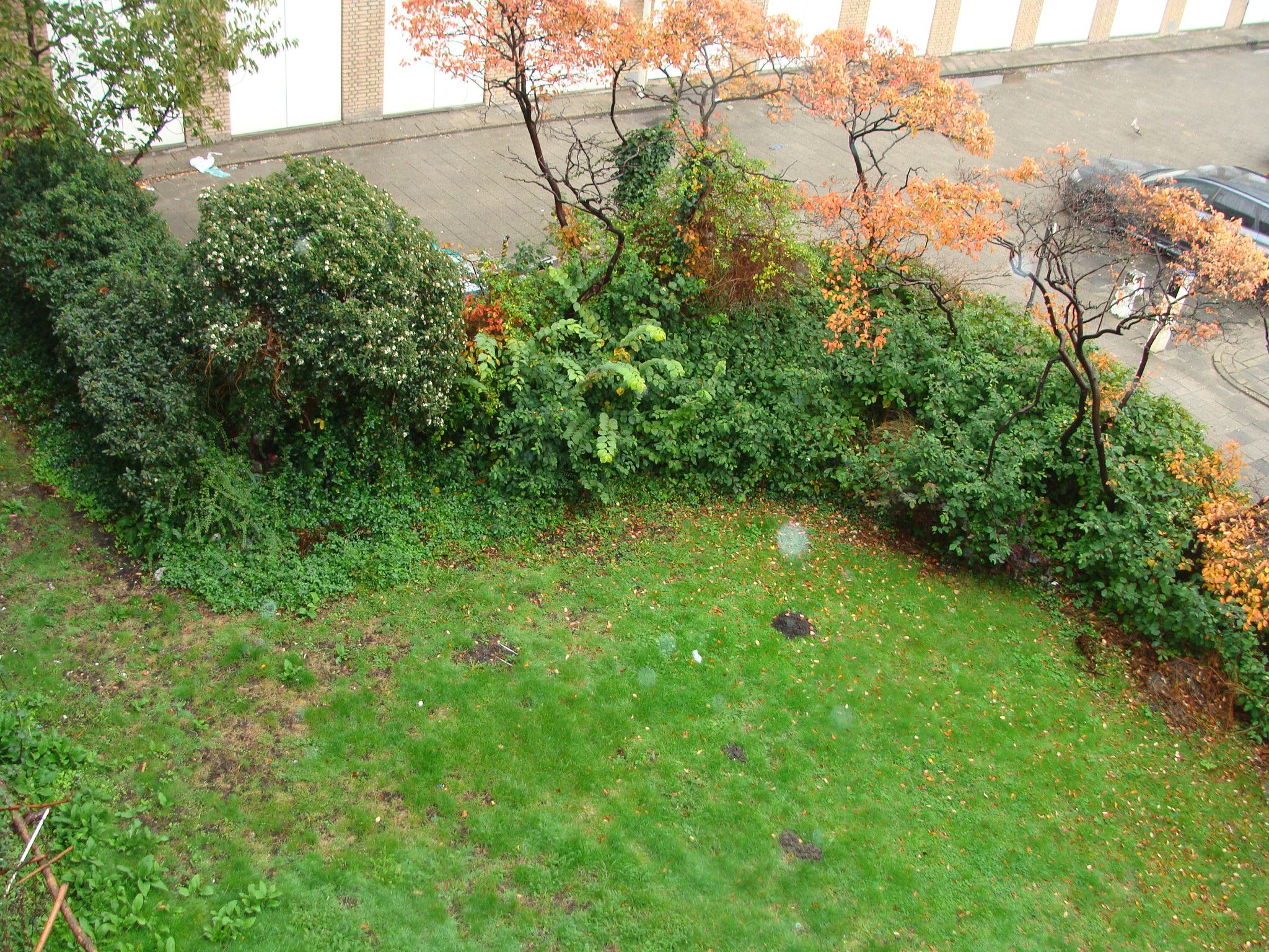 Foto 21 van Hengelolaan 1196