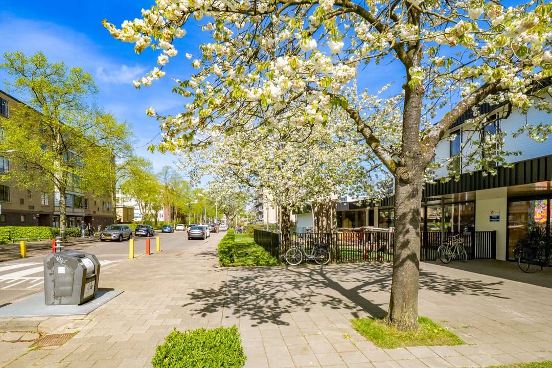 Foto 28 van Van Bijnkershoeklaan 267