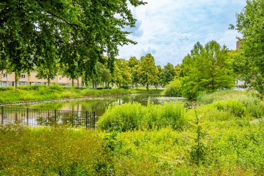 Foto 29 van Van Bijnkershoeklaan 267