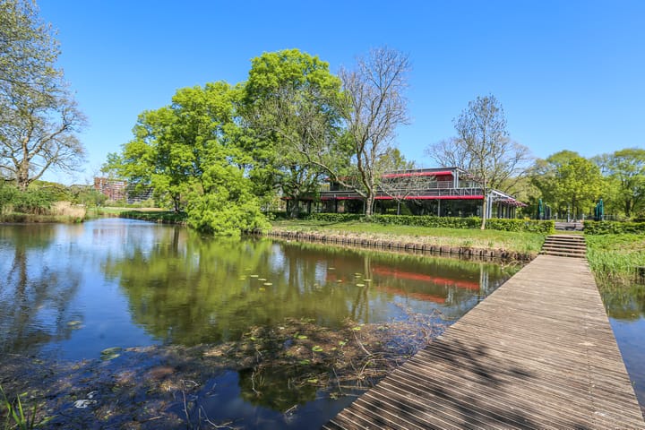 Photo 31 of Van Bijnkershoeklaan 267