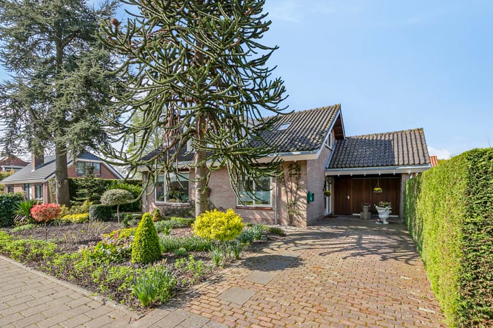 Middeldoel 6