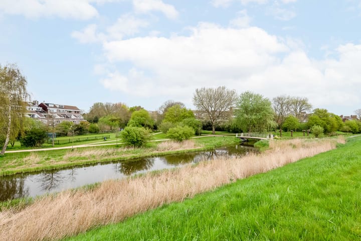 Foto 48 van Houtzaagmolen 47