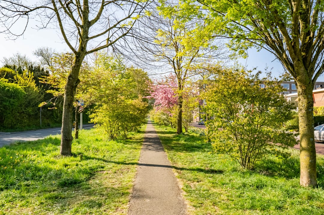 Photo 41 of Gazellestraat 156