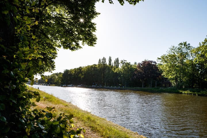 Foto 2 van Omegaplantsoen 237