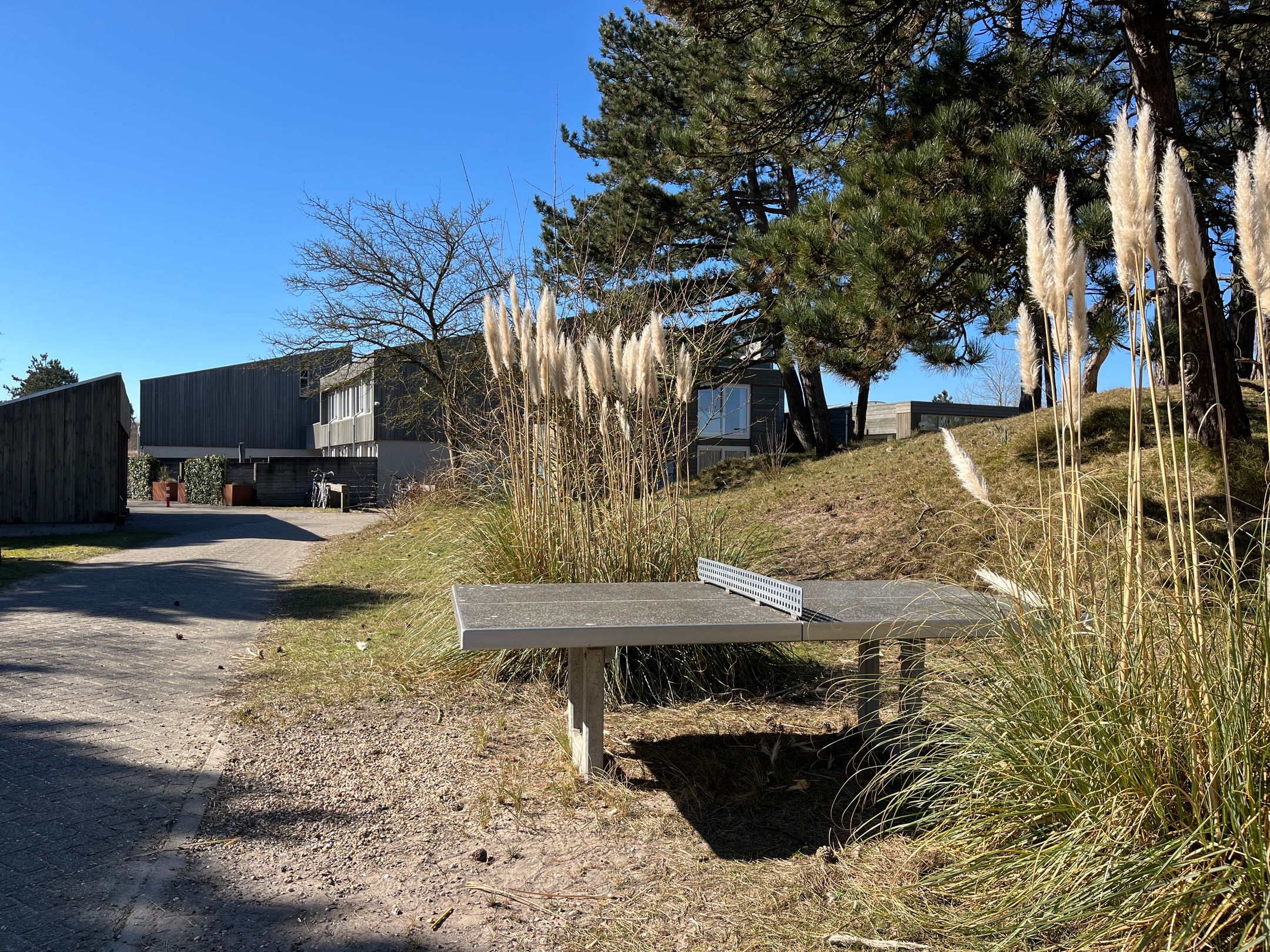 Foto 15 van Badweg 67-AR13