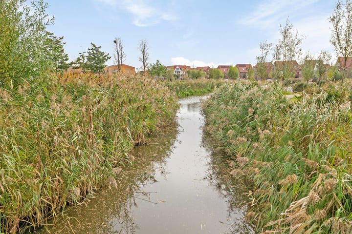 Foto 30 van Grenenhout 5