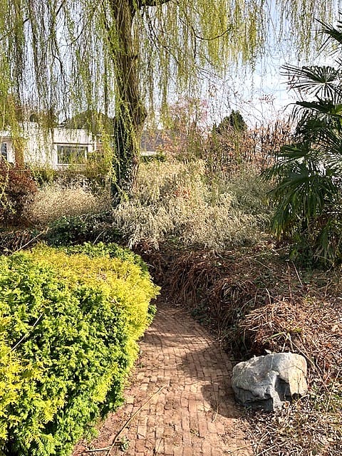 Foto 12 van Churchillstraat 2-A