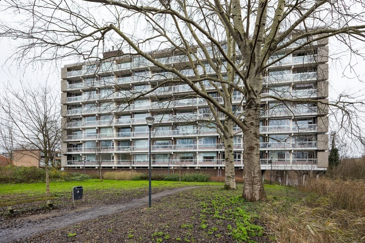 Photo 27 of Laan van Parijs 26