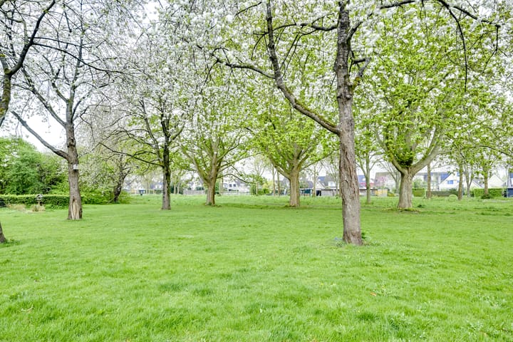 Foto 62 van Korenmolen 64