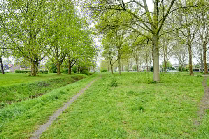 Foto 64 van Korenmolen 64