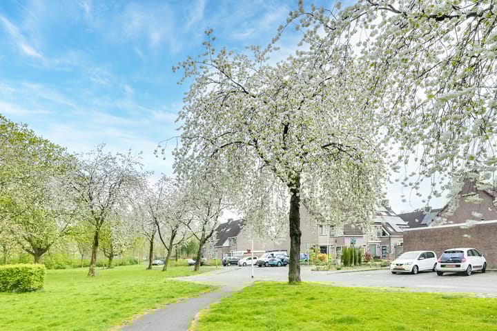 Foto 66 van Korenmolen 64