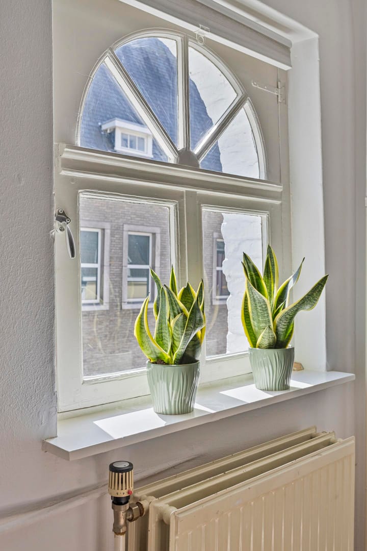 Foto 28 van Achter de oude Minderbroeders 2