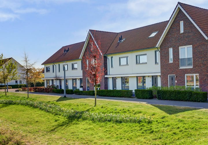 Dijkskruin 41