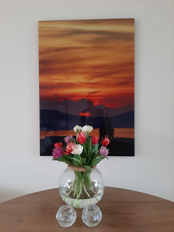 Photo 14 of Dijkskruin 41