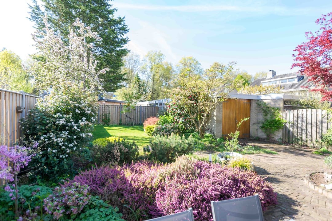 Photo 37 of Maaslaan 9