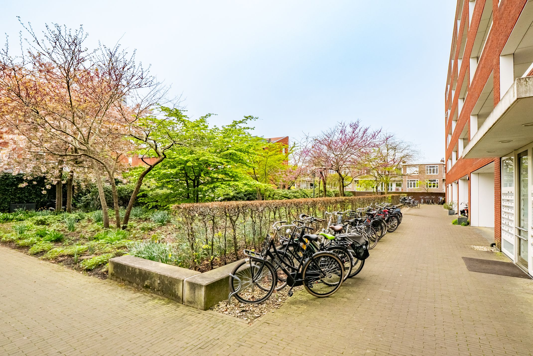 Foto 30 van Veilingstraat 35