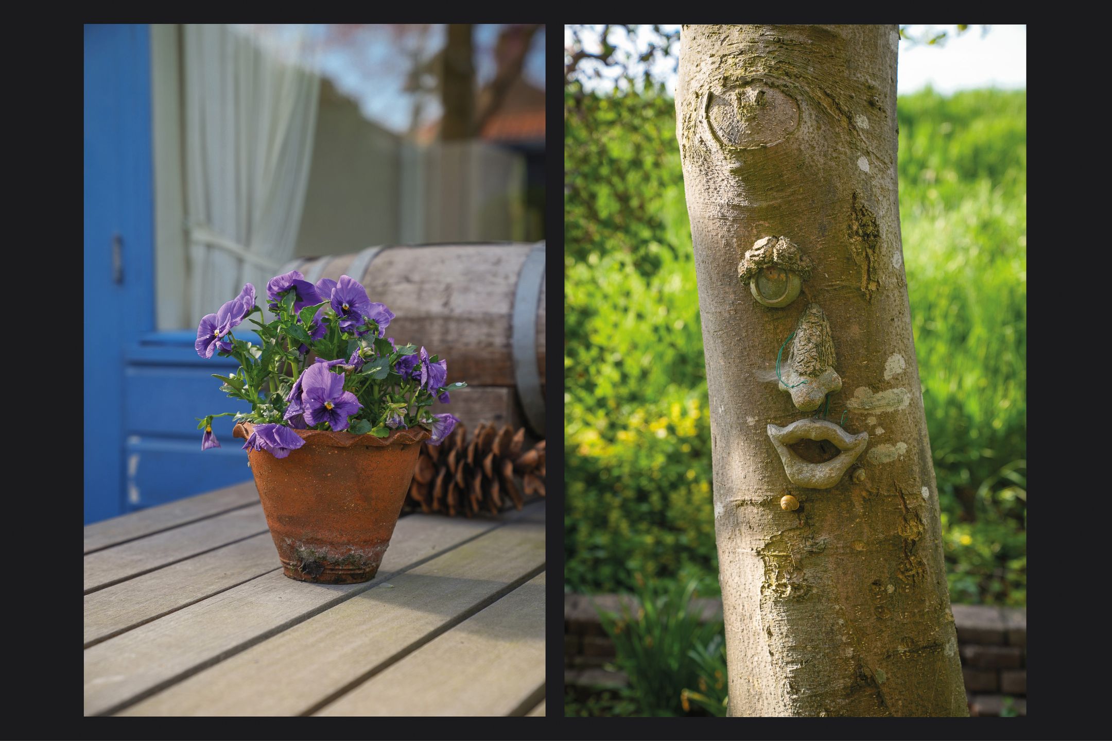 Foto 3 van Horndijk 29