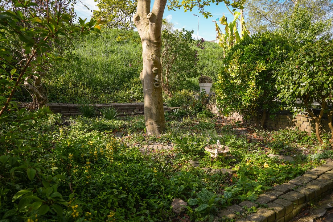 Foto 26 van Horndijk 29